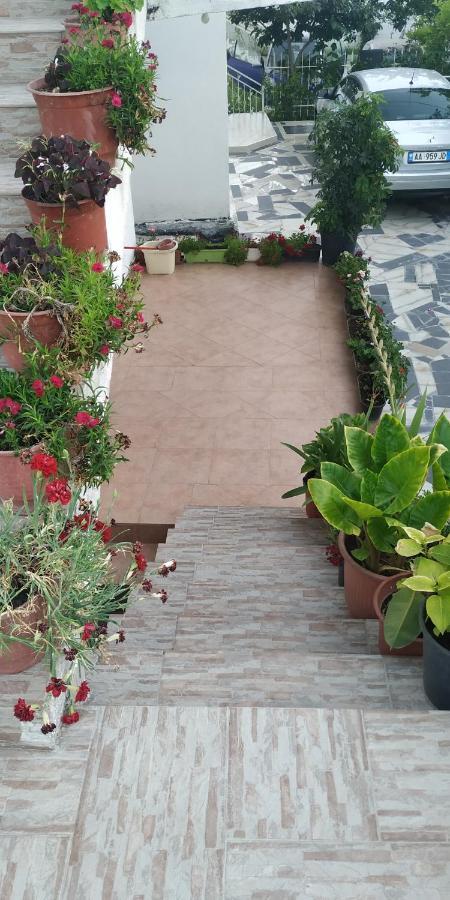 Spacious House With A Big Garden And Fire Pit Villa Tirana Eksteriør billede