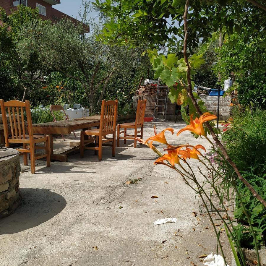 Spacious House With A Big Garden And Fire Pit Villa Tirana Eksteriør billede