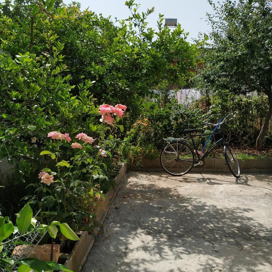 Spacious House With A Big Garden And Fire Pit Villa Tirana Eksteriør billede