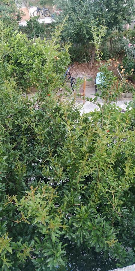 Spacious House With A Big Garden And Fire Pit Villa Tirana Eksteriør billede